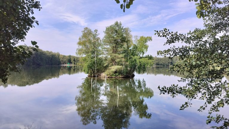 Kous bousen…weer thuis